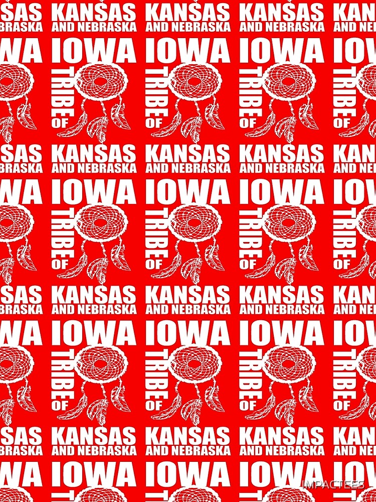 "Iowa Tribe of Kansas and Nebraska" Mini Skirt for Sale by IMPACTEES Redbubble