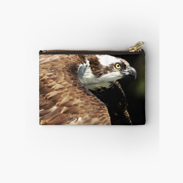 Item preview, See Hawk designed and sold by Kenneth Haley.