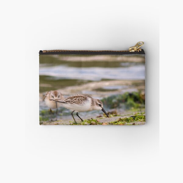 Item preview, Shorebirds designed and sold by Buzzimage.