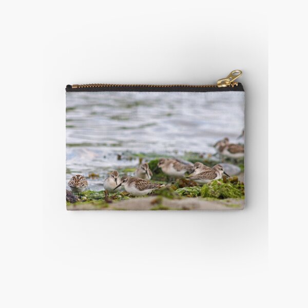 Item preview, Sandpiper designed and sold by Buzzimage.