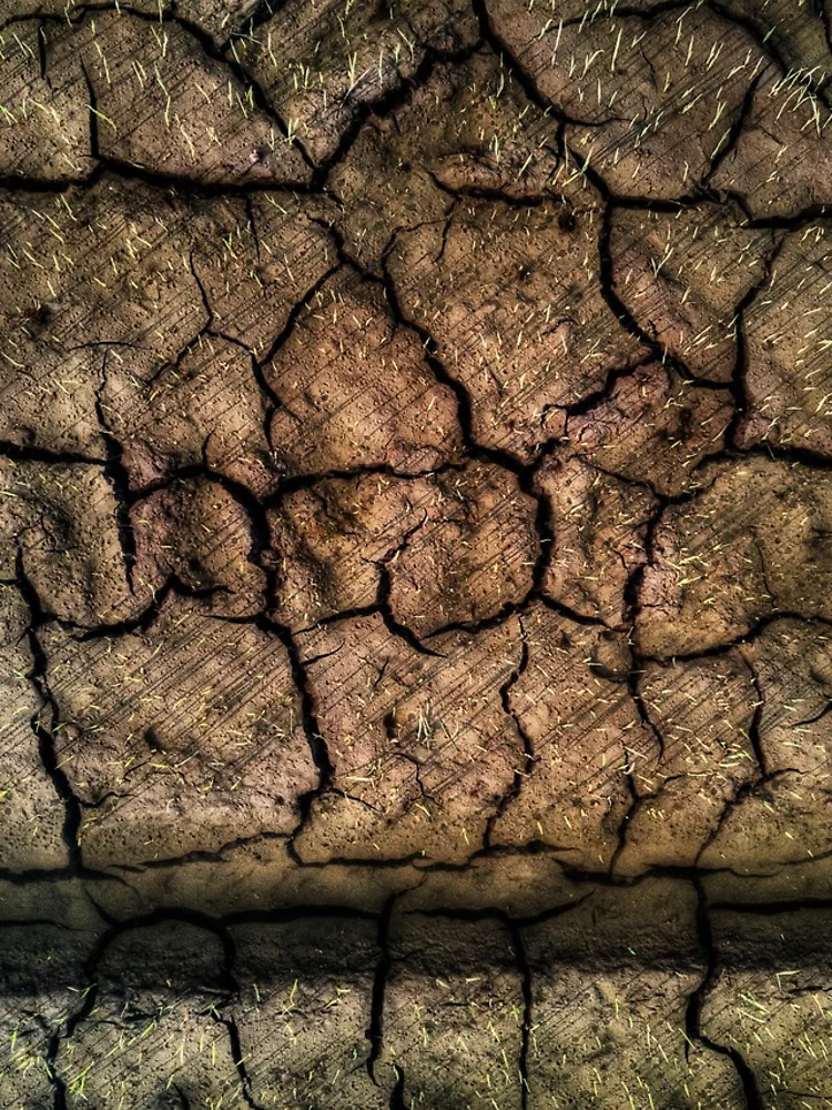 Thumbnail 4 of 4, iPhone Case, Abstract Rice Field designed and sold by Huskyyy Designs.