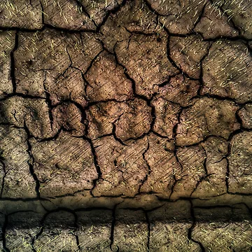 Artwork thumbnail, Abstract Rice Field by Huskyyy Designs