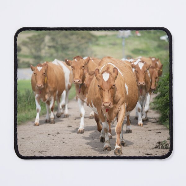 Item preview, Cornish country lane designed and sold by ccullen222.