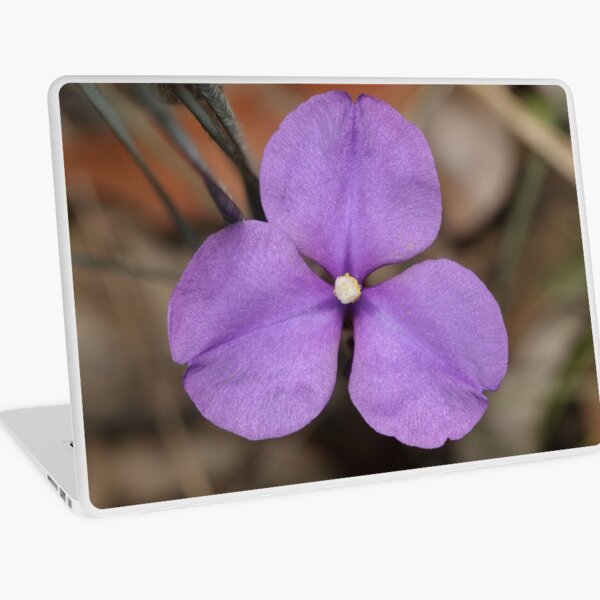 Silky Purple Flag (Iris) Laptop Skin