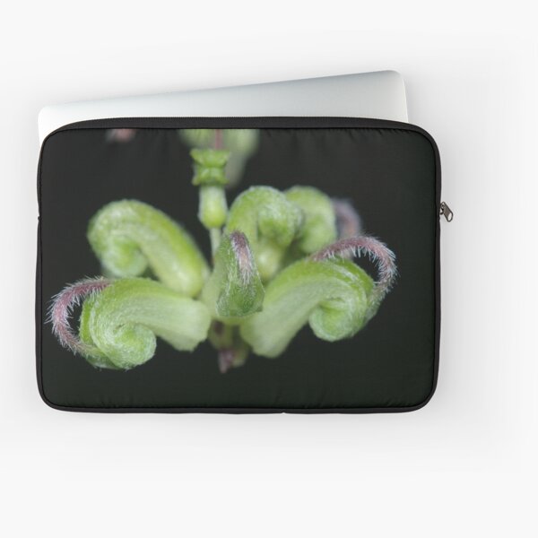 Item preview, Green Spider Flower designed and sold by Andrew Trevor-Jones.