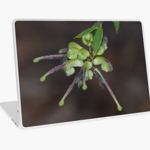 Item preview, Green Spider Flower designed and sold by Andrew Trevor-Jones.