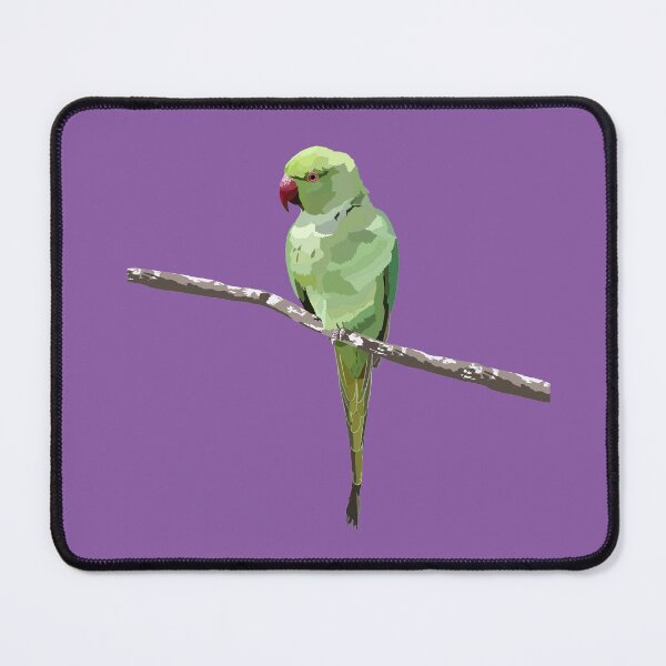 Item preview, Parrot Illustration designed and sold by smolwoo.