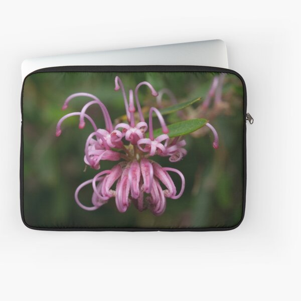 Spider Flower Laptop Sleeve