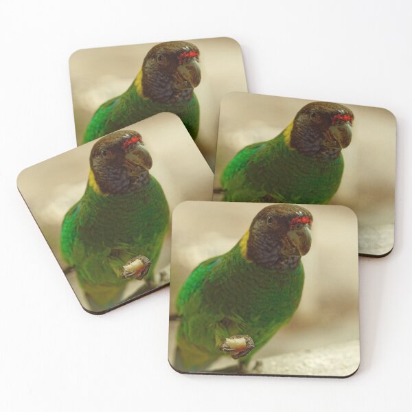 Item preview, Australian ringneck parrot eating on balcony designed and sold by hendrikspix.