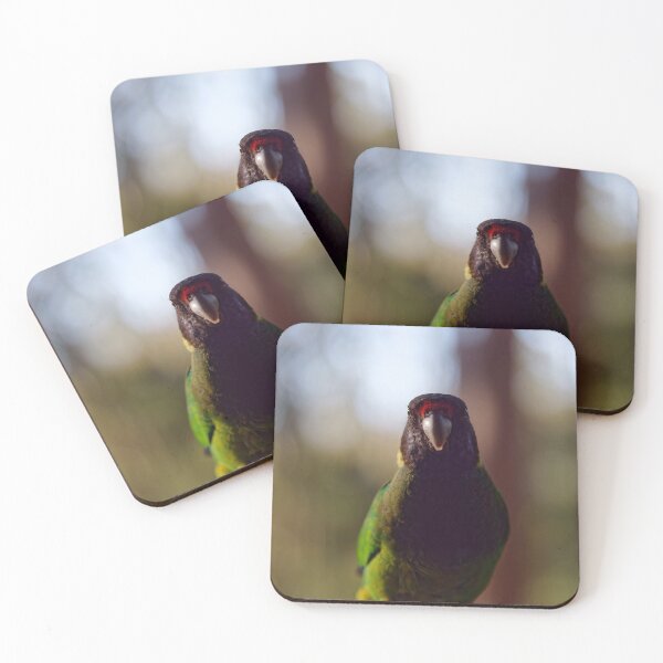 Item preview, Australian ringneck parrot upclose designed and sold by hendrikspix.