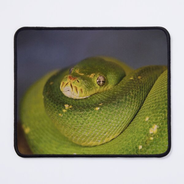 Item preview, Green tree python designed and sold by Kiran-Fine-Art.
