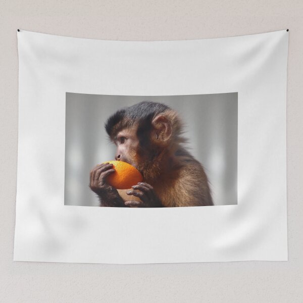 Item preview, monkey munching a piece of orange designed and sold by Gaylene Norton.
