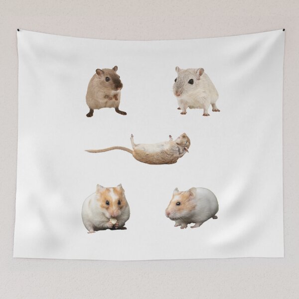Item preview, Hamster Pack Sticker designed and sold by Coczzi.
