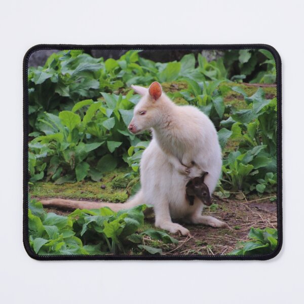 Item preview, cute wallaby and joey designed and sold by Gaylene Norton.