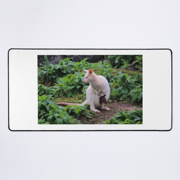 Item preview, cute wallaby and joey designed and sold by Gaylene Norton.