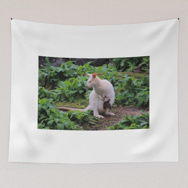 Item preview, cute wallaby and joey designed and sold by Gaylene Norton.