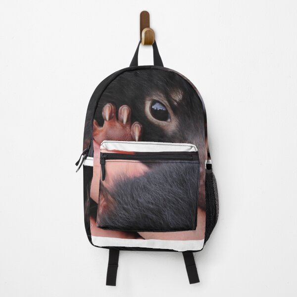 Item preview, sweet baby Tasmanian Devil designed and sold by Gaylene Norton.
