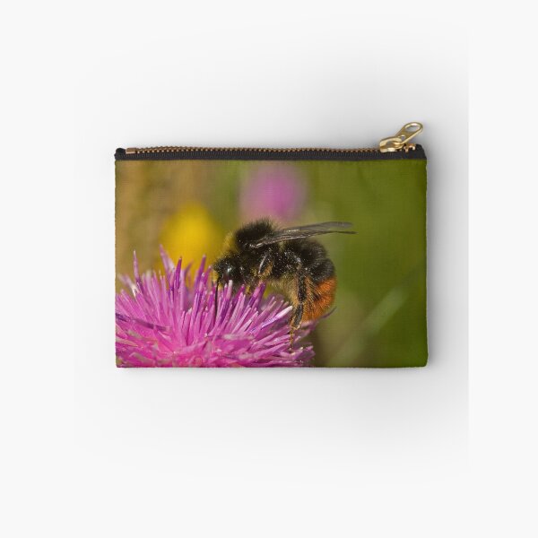 Item preview, Red-shanked carder Bee  designed and sold by Jon Lees.