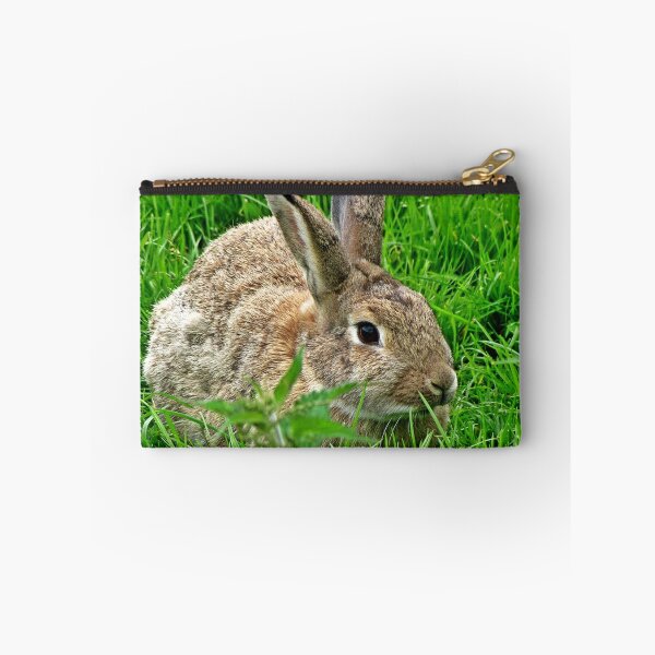 Artikelvorschau, " Who's hiding in the grass?" entworfen und verkauft von mrcoradour.