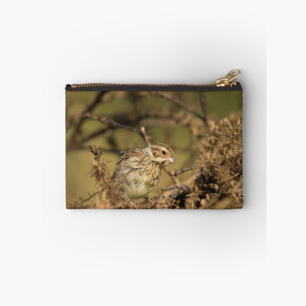 Item preview, Reed Bunting - female designed and sold by Jon Lees.