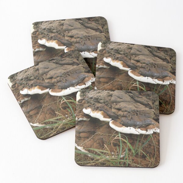 Item preview, Brown and White Bracket Fungus designed and sold by naturegallery.