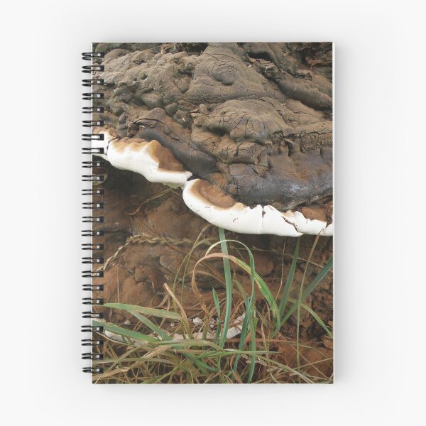 Item preview, Brown and White Bracket Fungus designed and sold by naturegallery.