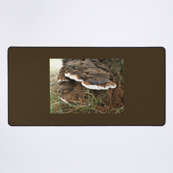 Item preview, Brown and White Bracket Fungus designed and sold by naturegallery.