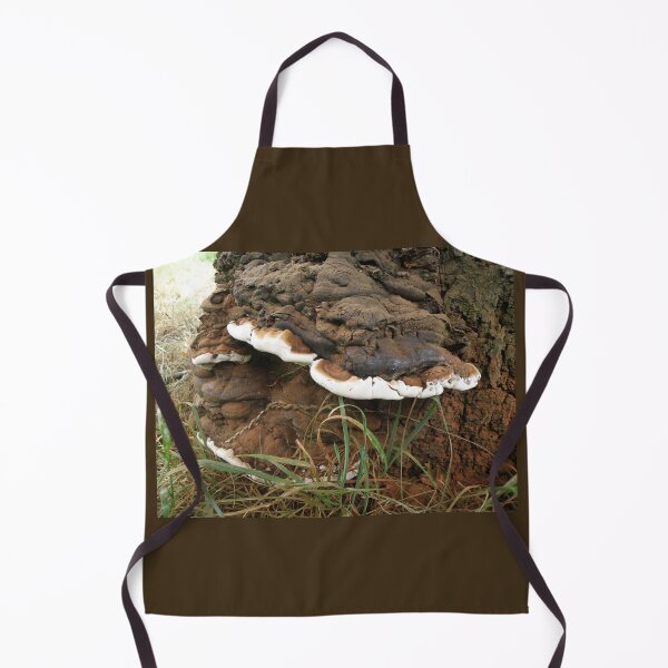 Item preview, Brown and White Bracket Fungus designed and sold by naturegallery.