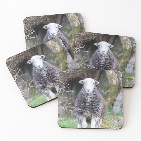 Item preview, A hint of a smile on this Herdwick sheep designed and sold by inspireyoureyes.