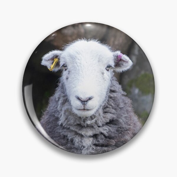Item preview, A hint of a smile on this Herdwick sheep designed and sold by inspireyoureyes.