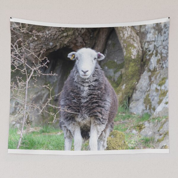 Item preview, A hint of a smile on this Herdwick sheep designed and sold by inspireyoureyes.