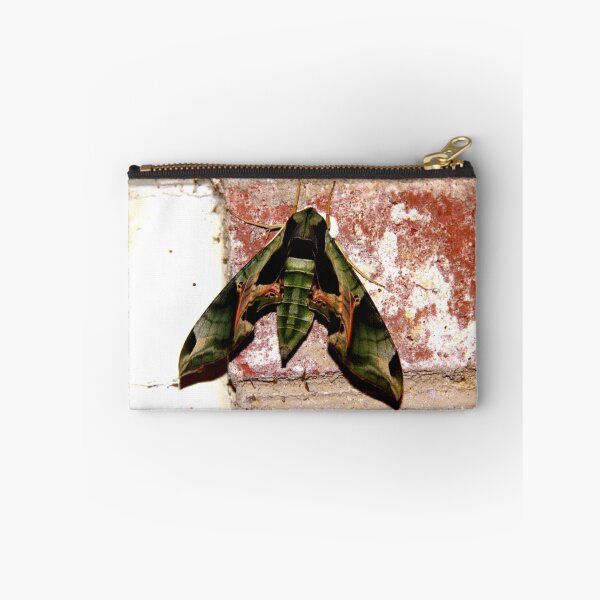 Item preview, Camouflage Moth On Red Brick designed and sold by Jonathan  Green.