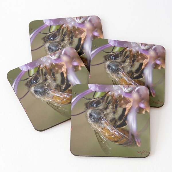 Item preview, Busy Bee (2) designed and sold by Wolf Sverak Photography.