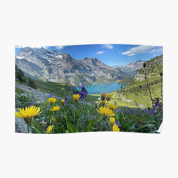 Wildflowers in the Swiss Alps Poster