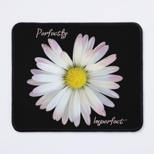 Are daisies 2025 perfect or imperfect