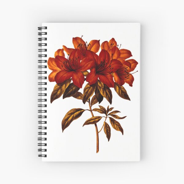 Cuaderno de espiral «Flor de azalea rosada original de la Biblioteca del  Patrimonio de la Biodiversidad» de NonaArts | Redbubble