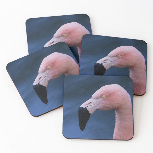 Item preview, Flamingo  designed and sold by rawshutterbug.