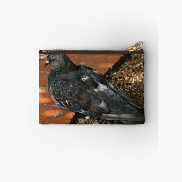 Item preview, Posing Pigeon designed and sold by pat gamwell.