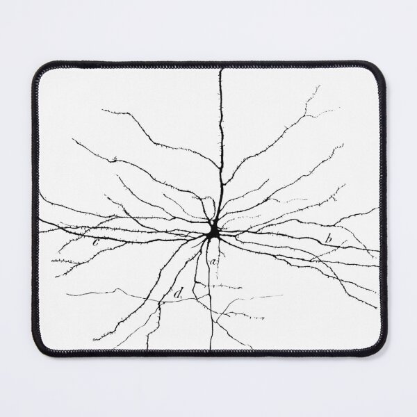 Item preview, Cajal Illustration, Pyramidal Cell, silhouette designed and sold by ScienceSource.