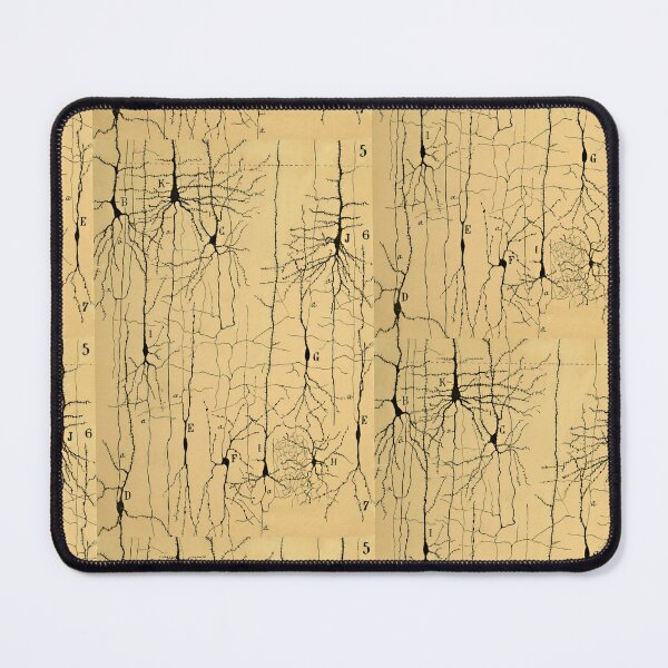 Item preview, Drawing of Nerve Cells by  Santiago Ramón y Cajal  designed and sold by ScienceSource.