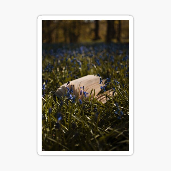 Lost in Fairyland Sticker