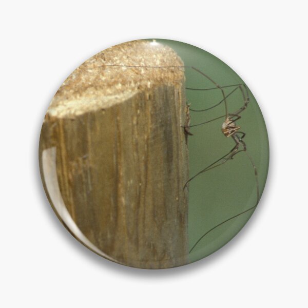 Item preview, Daddy Long Legs designed and sold by Bill Spengler's Photographic Thoughts.