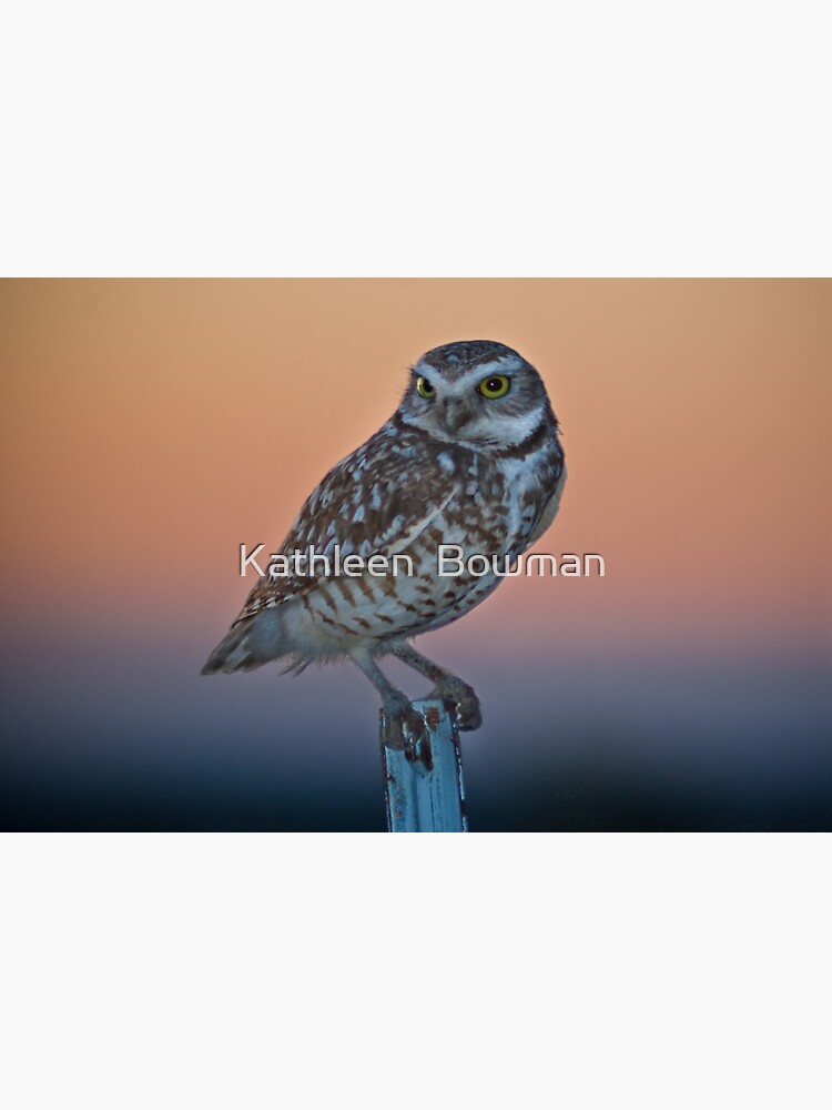 Burrowing Owl at Dusk by KathleenBowman