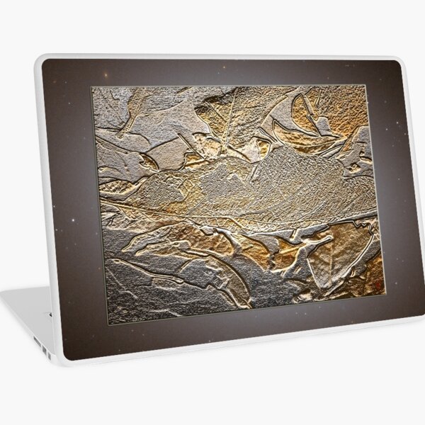 Autumn leaves Laptop Skin