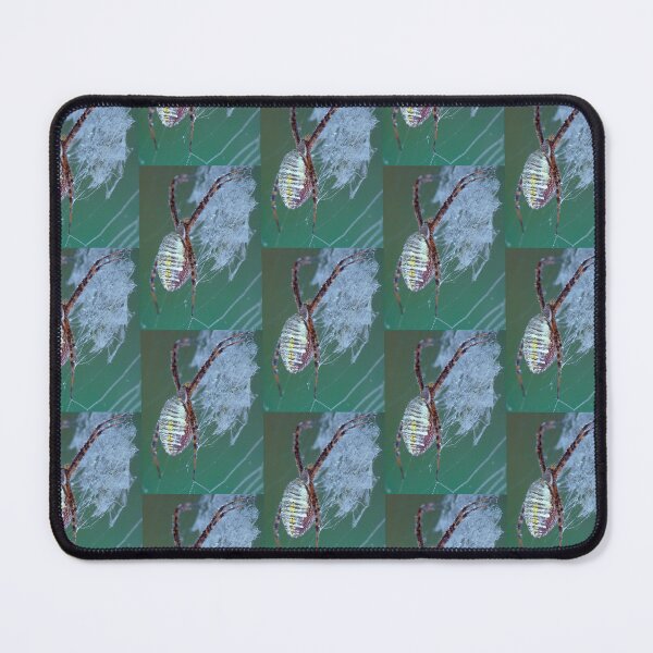 Item preview, Dew Covered Banded Garden Spider designed and sold by Bill Spengler's Photographic Thoughts.