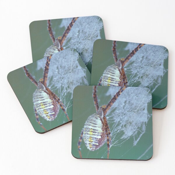 Item preview, Dew Covered Banded Garden Spider designed and sold by Bill Spengler's Photographic Thoughts.