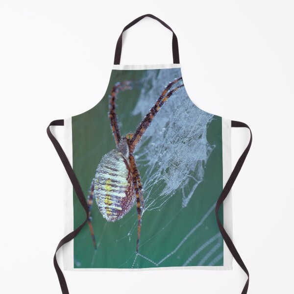 Item preview, Dew Covered Banded Garden Spider designed and sold by Bill Spengler's Photographic Thoughts.
