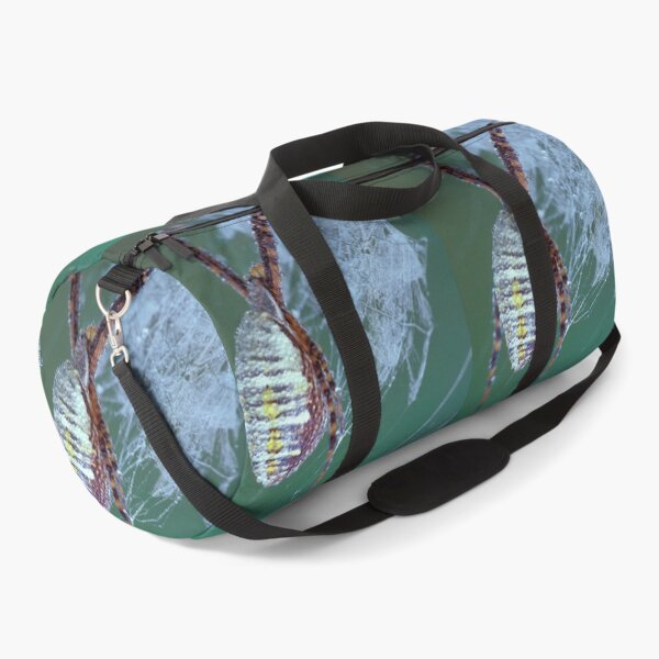 Item preview, Dew Covered Banded Garden Spider designed and sold by Bill Spengler's Photographic Thoughts.
