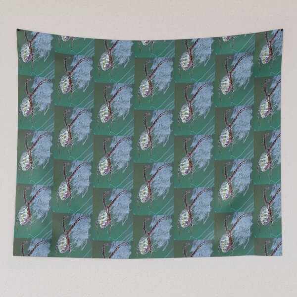 Item preview, Dew Covered Banded Garden Spider designed and sold by Bill Spengler's Photographic Thoughts.