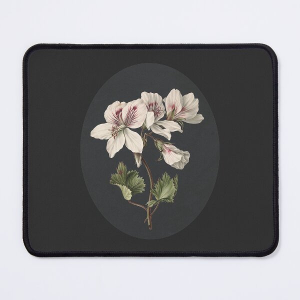 Item preview, Pelargonium Album Bicolor (geranium) designed and sold by redstitchlab.
